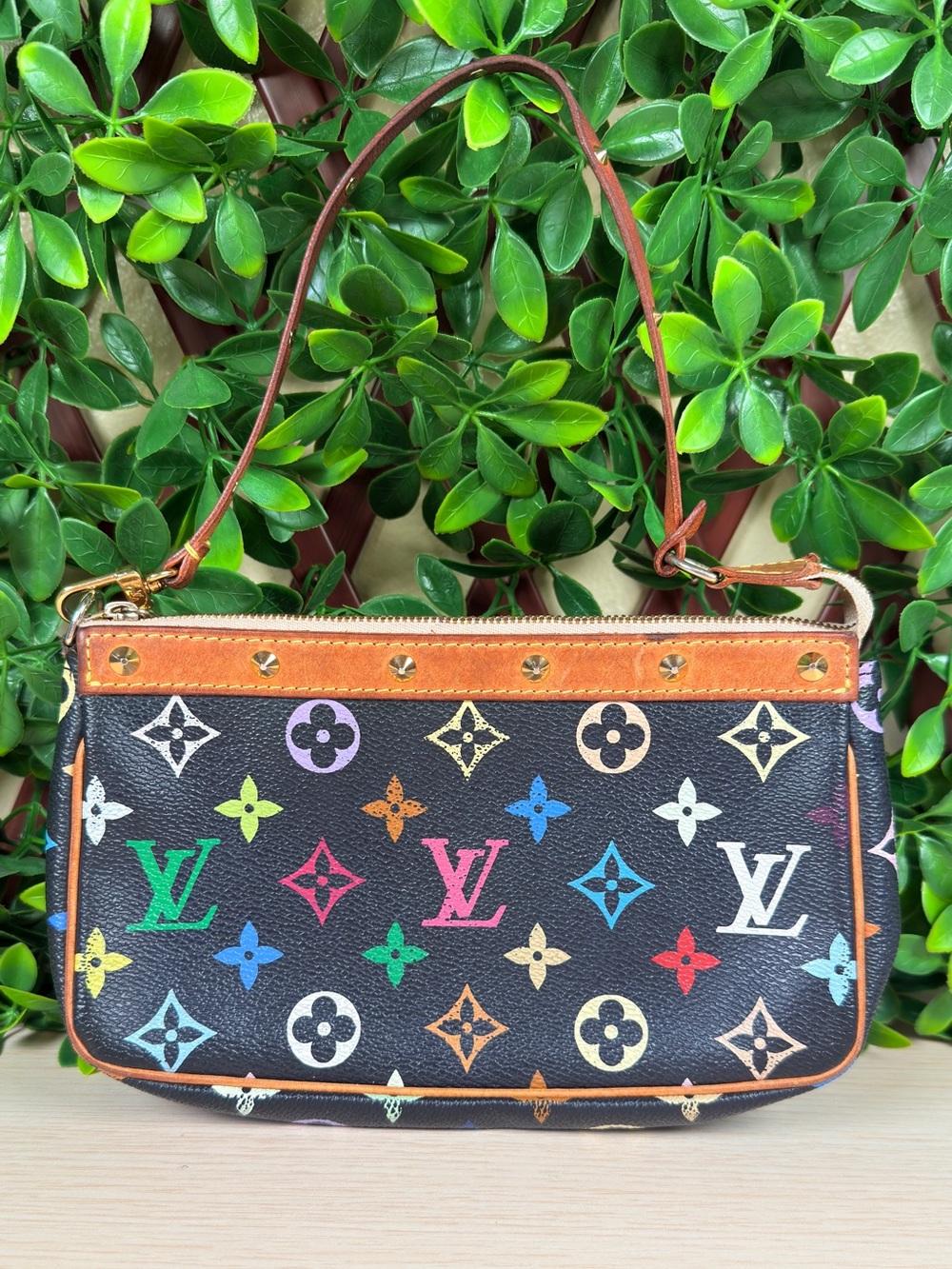 Louis Vuitton Multicolor pochette accessories